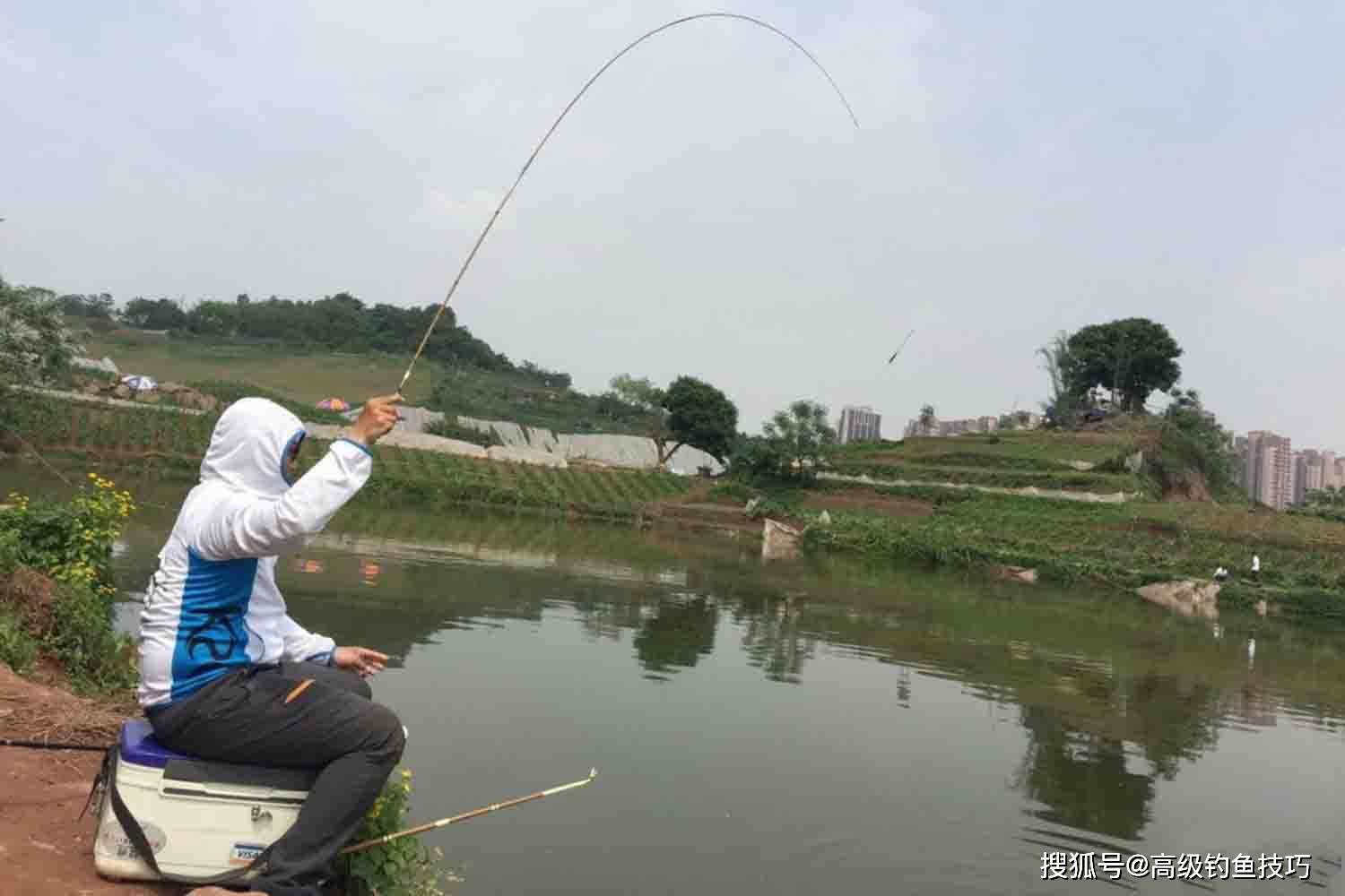 为什么不能用活饵垂钓 4e8176e9ecc94e1893c70084fb214ec5.jpeg