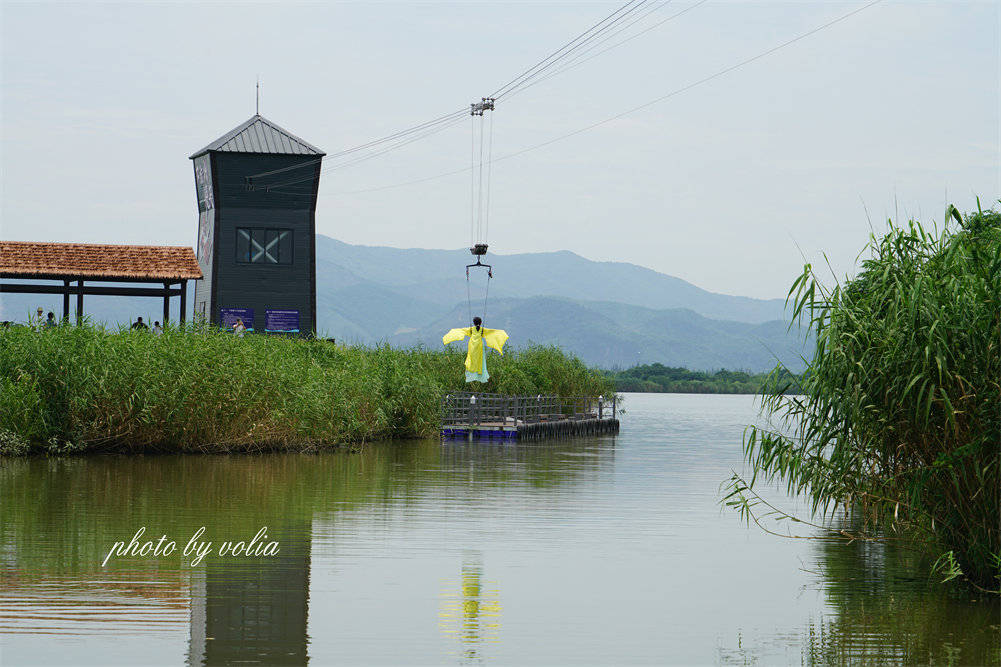 醉美下渚湖可以近距离观察东方宝石朱鹮还能在酷暑夏日玩雪哦