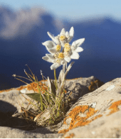 肤质|干皮如何在炎炎夏日保养护肤？