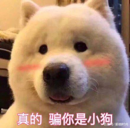 猫步|64岁赵雅芝奶奶亮相，像一个穿着夏装的少女，走起“猫步”很迷人