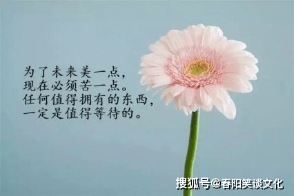 d0ab9a861217411ea17748067d5046c8.png