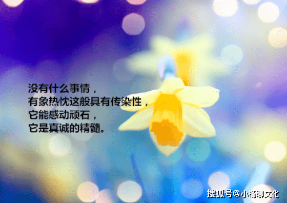 013d8c5fded14373ab19a7b86ac1783f.png