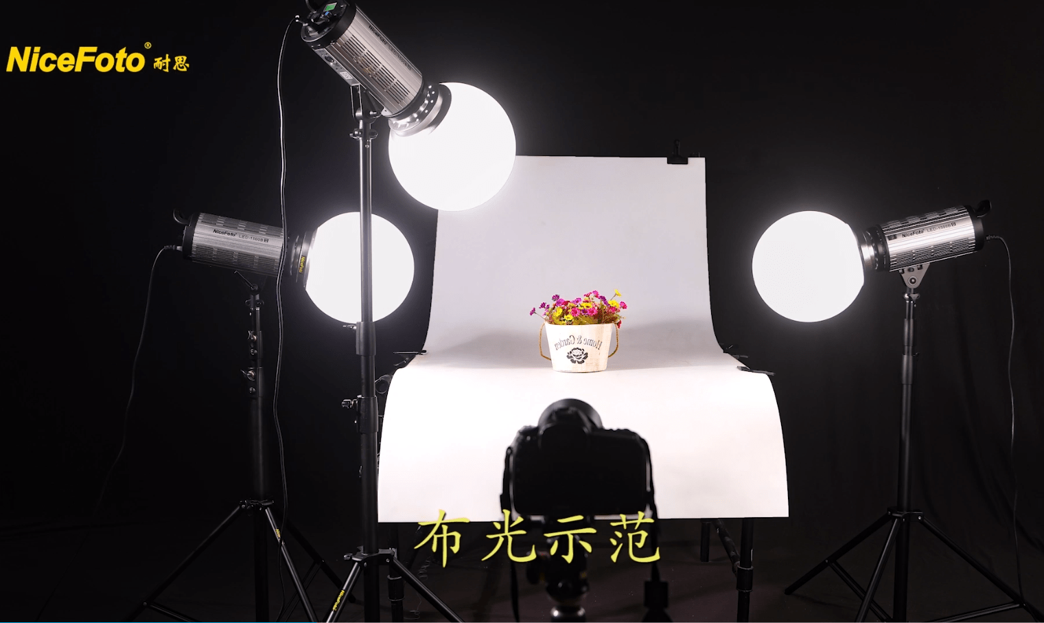 方法|静物摄影之小盆栽，这样拍啥都好看！