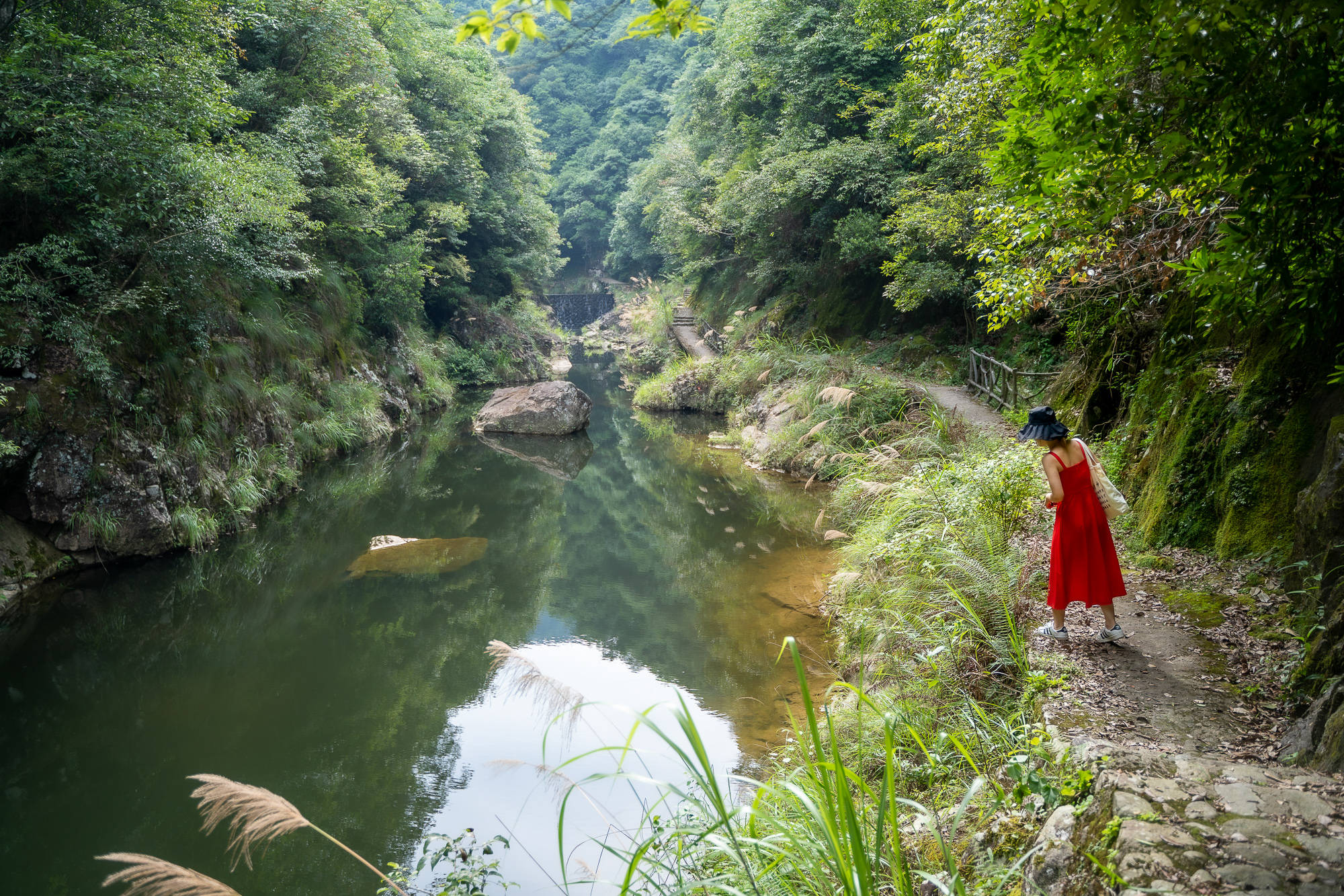 温州|泰顺泗溪深山秘境九里潭，风景优美人少还免费，要去的赶快！