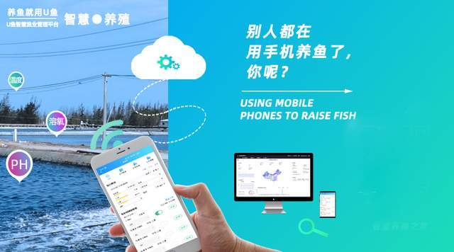 U鱼智慧渔业系统 让水产养殖更简单高效 管理