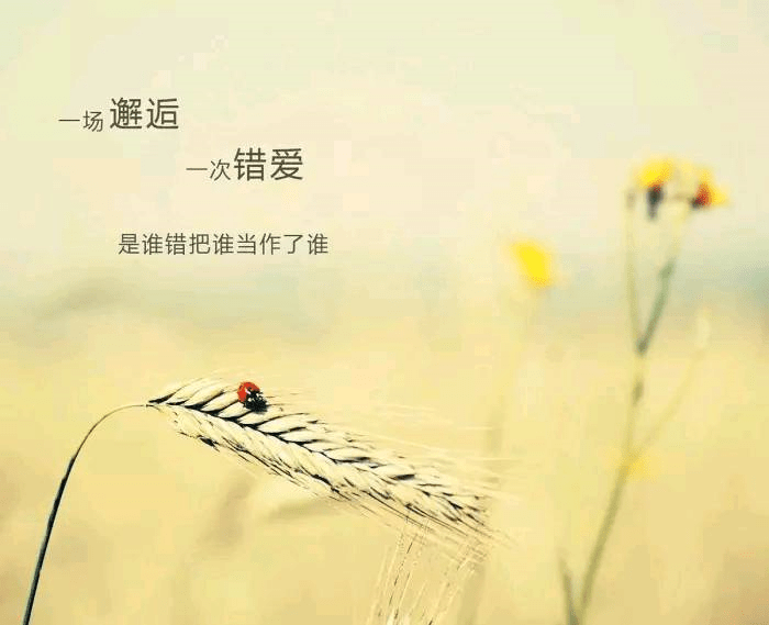 32f06c1ba3994fc59662922684930940.png