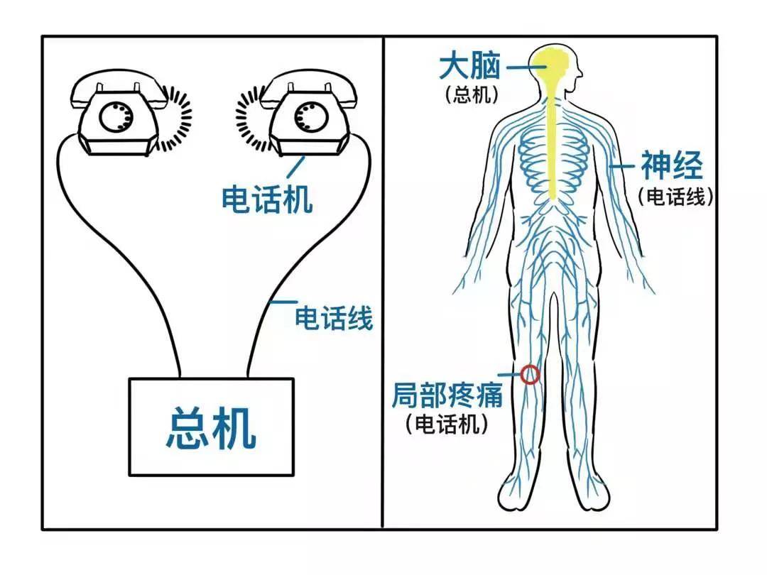 监测|麻醉不就是打一针就好了么？专家：才没那么简单