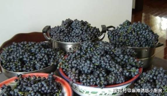 标准|替婆婆收藏了，别再浪费葡萄了，制作葡萄酒的标准方法在这里