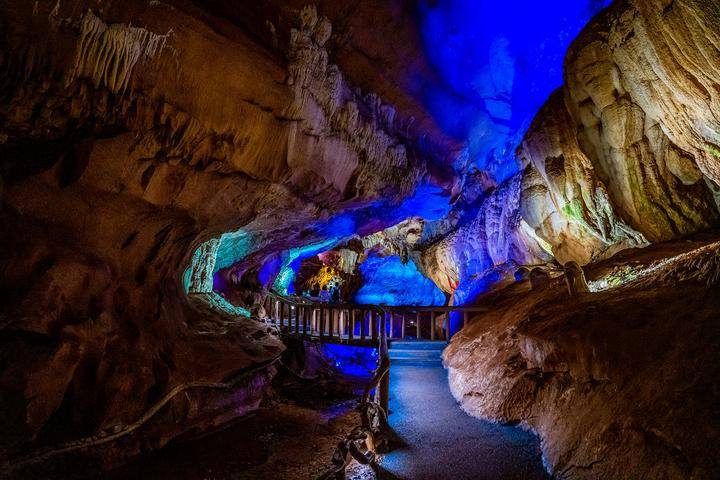 道旁的是黄葛榕,悬崖一边的是四树木,据说宝角牛洞曾经是古代的藏宝洞