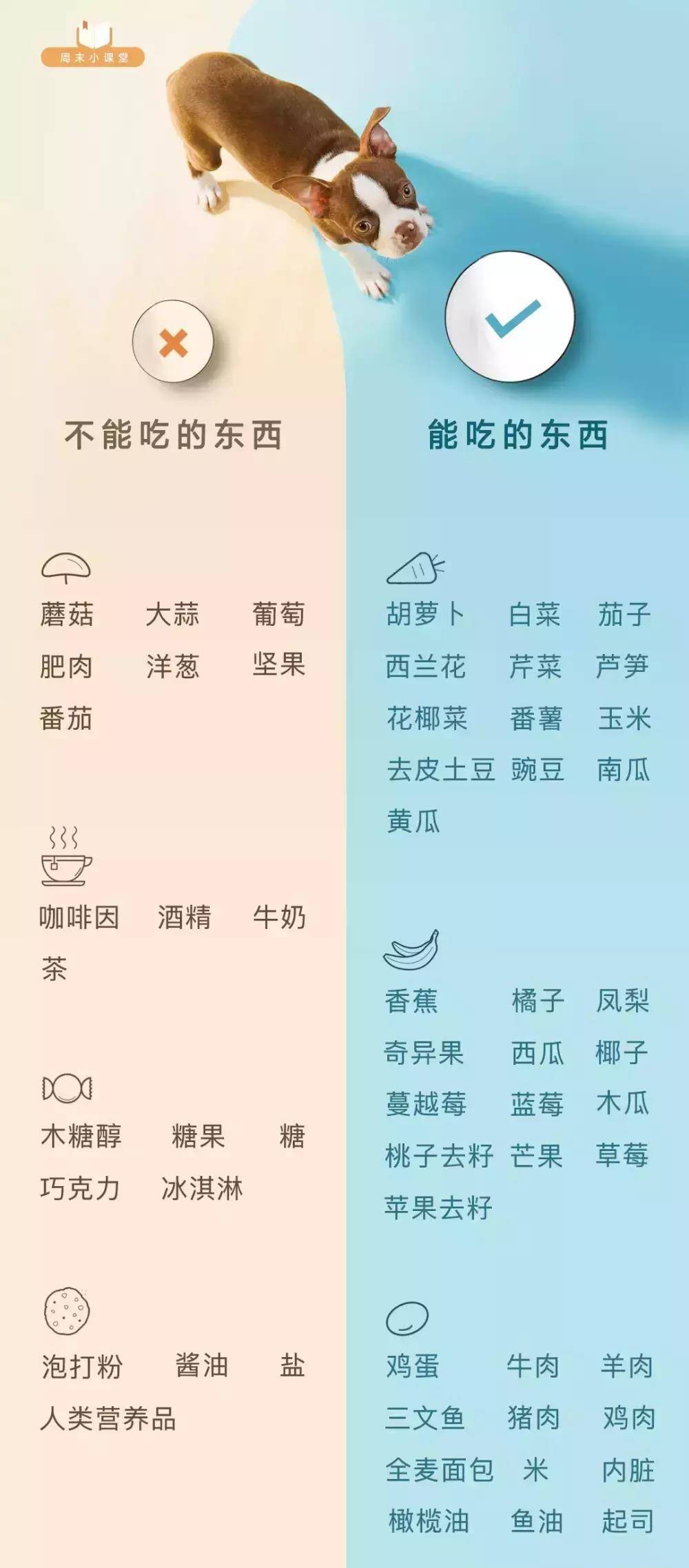 名字|在狗狗生日之际, 学会做一餐狗狗零食, 可以获得双倍的满足