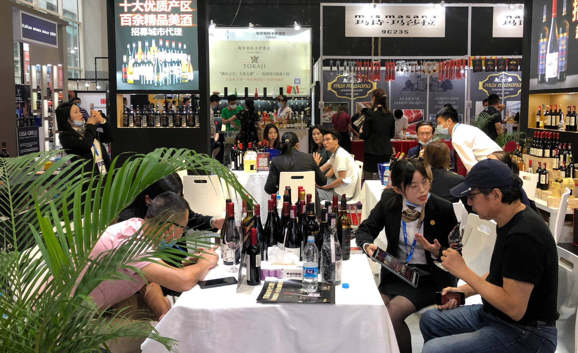 企业|伟通酒业集团开放城市代理,火爆26届国际名酒展