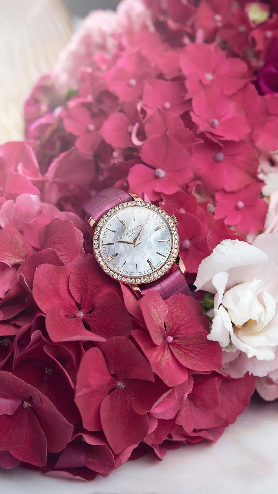 ÿ��������Ů��,���Ӳ�����ʫ���ٵ�����!