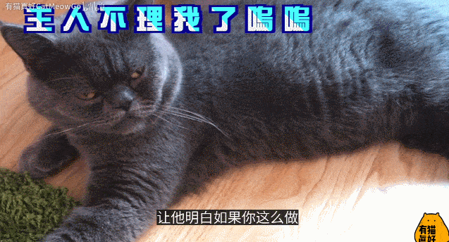 378ffcb83c704d029f7f2aac3327a594.gif