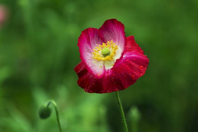 7月30日星座运势 渐入佳境 水到渠成的四大星座 生活