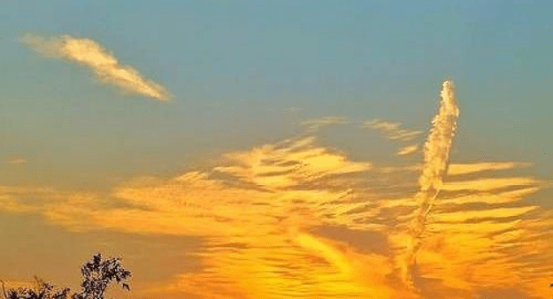 硒食物排行榜_安徽一古村,80岁健康老人多,食物富含硒元素,80元能过一整天!