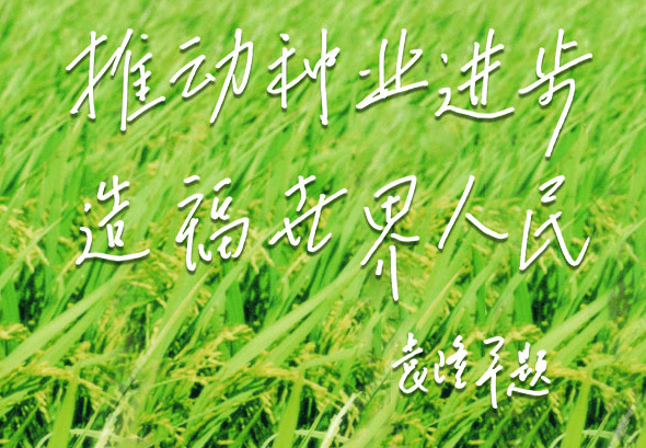 8f1f8718151e4a84afa5c874324cc862.png