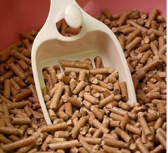 一只猫要用到多少猫砂 918b80e4e2464dcb90b711c5273b28c2.jpeg