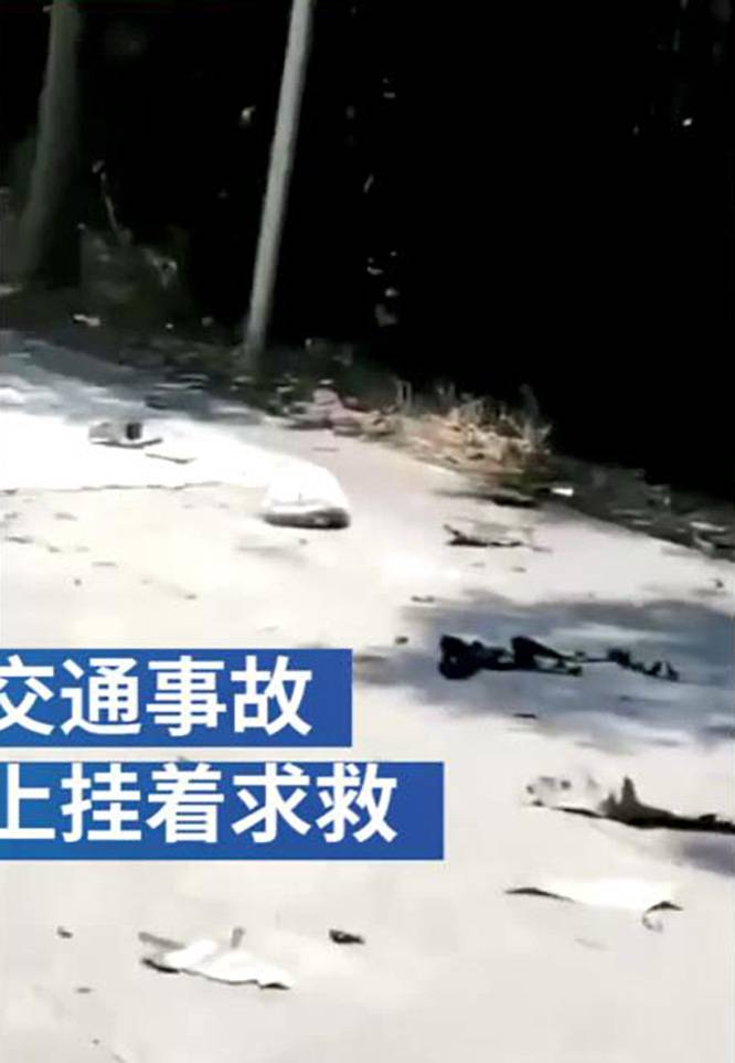 原创一死一伤广东揭阳发生离奇车祸一女子被撞飞倒挂树上等待救援