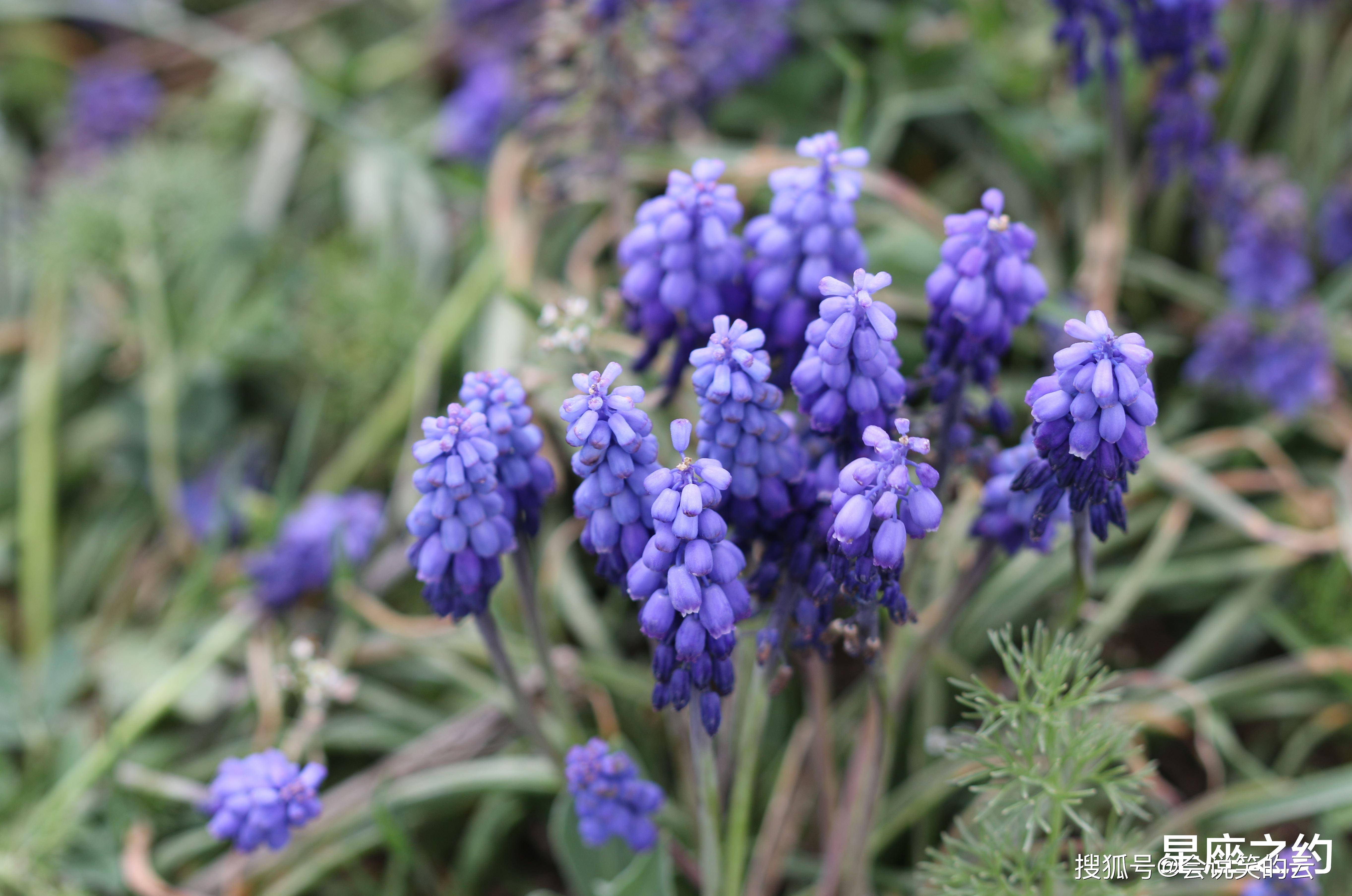 2月25日星座运势 确立目标 风雨兼程的四大星座 异性