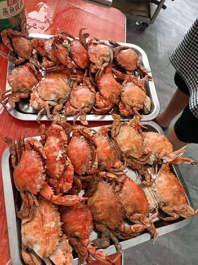唐山海边自驾游遇乐亭秀秀农家院,海鲜拼盘排队吃,省钱玩到嗨!