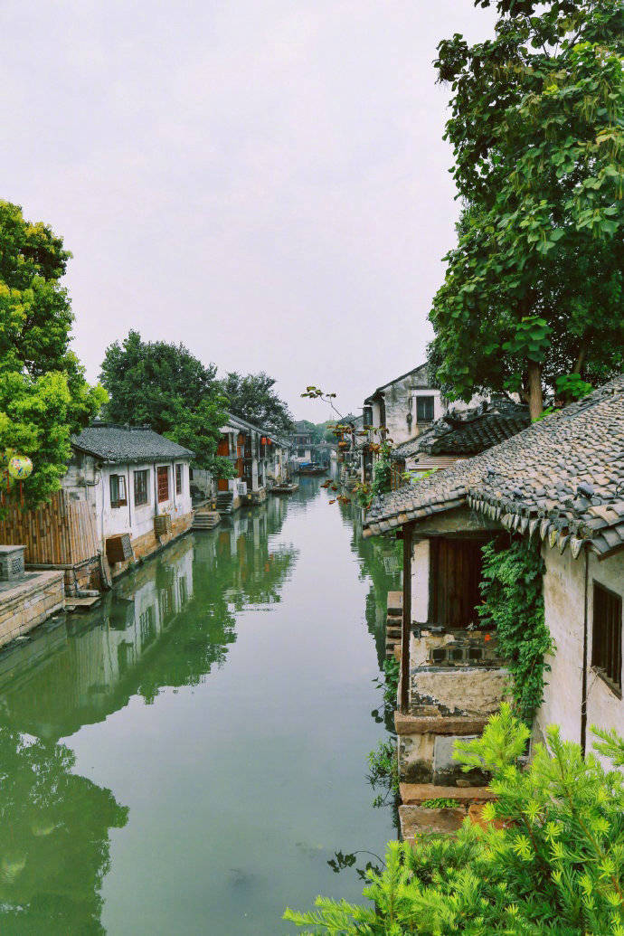 初恋|初恋是清醇绵甜的葡萄酒