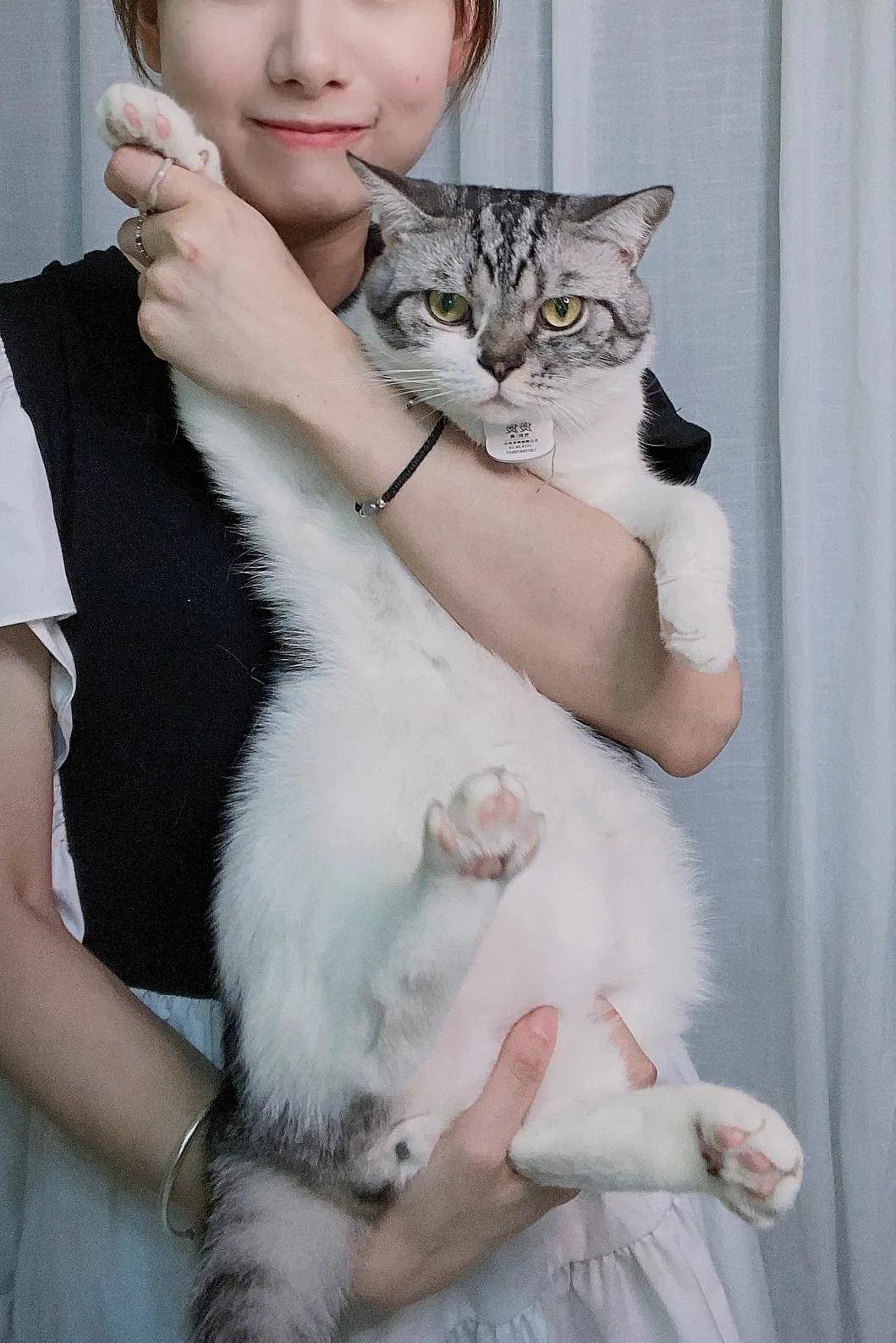 因为|吸完几百只猫猫狗狗,我们从中选出了30只最可爱的给你