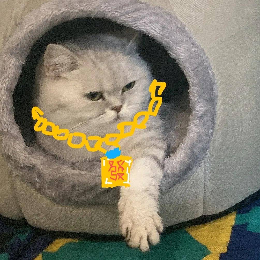 因为|吸完几百只猫猫狗狗,我们从中选出了30只最可爱的给你