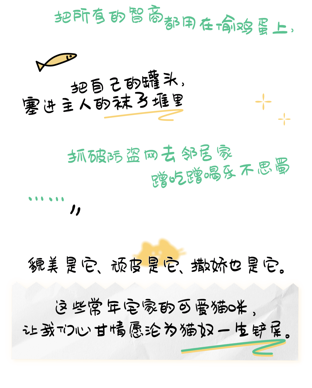 因为|吸完几百只猫猫狗狗,我们从中选出了30只最可爱的给你