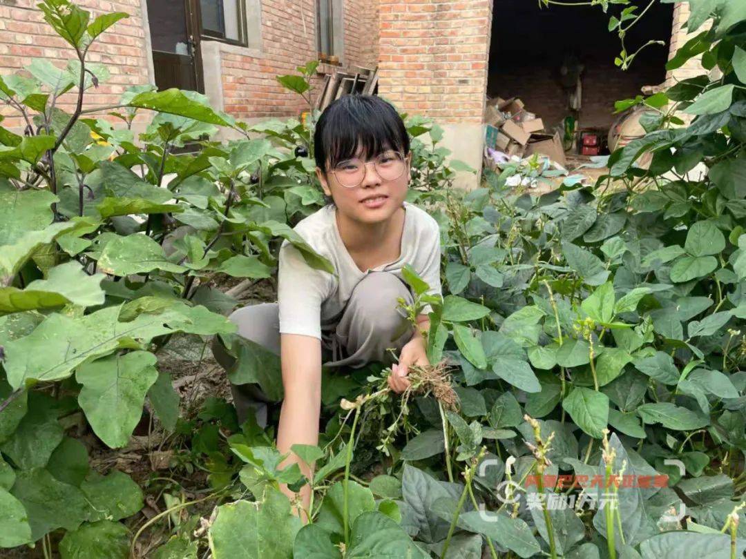 母親突然去世,農家女含淚高考:想成為父親依靠_陳雪