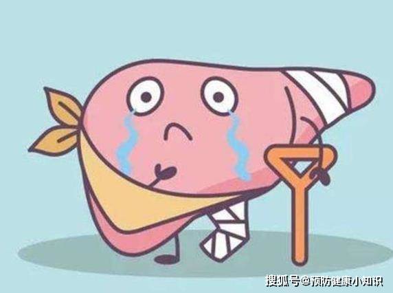 肝脏|肝脏出现病变时，身体会用5个方式来抗议，早发现早控制！