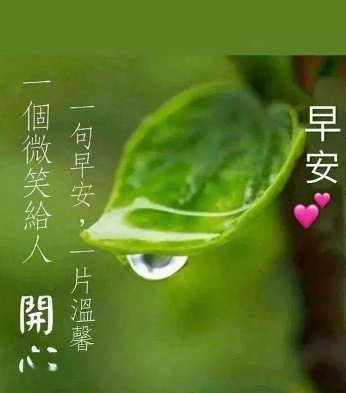 原创2021最新最全的群发夏天早上好温馨问候语图片好看的免打字聊天