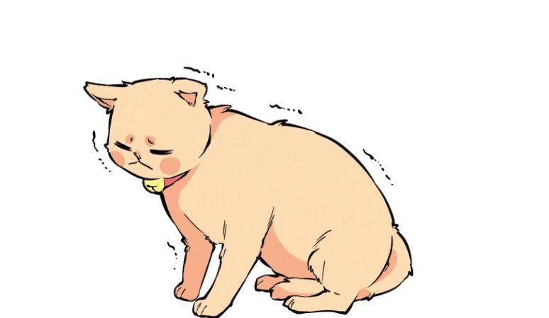 猫咪的尾巴会说话，教你轻松读懂猫咪语言！