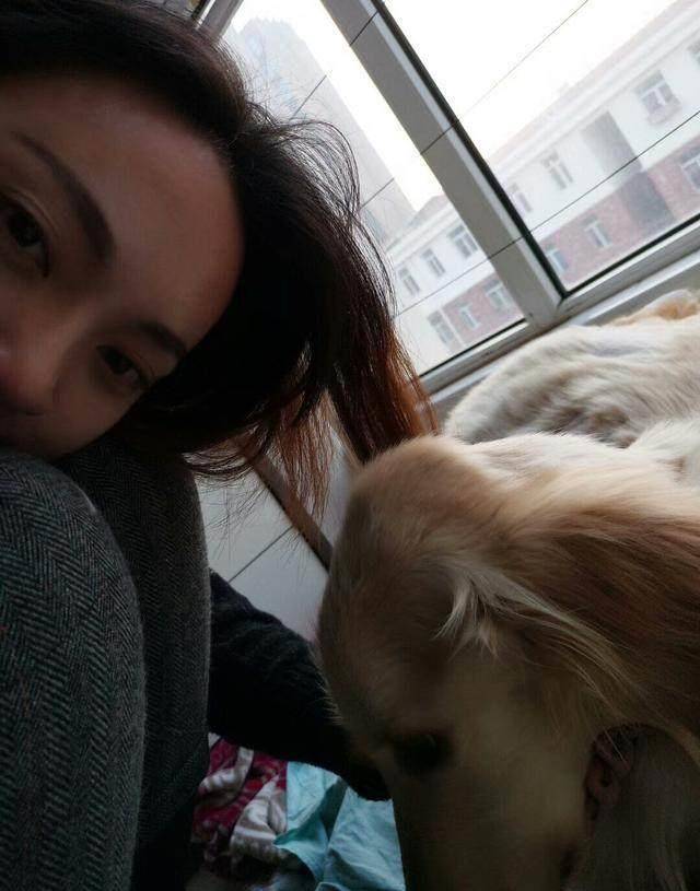 流浪金毛即将走到生命的尽头时被领养，做出的事情令人泪奔 