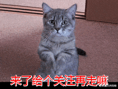 bca67ef038e24d3ea31dd95b19032fc2.gif