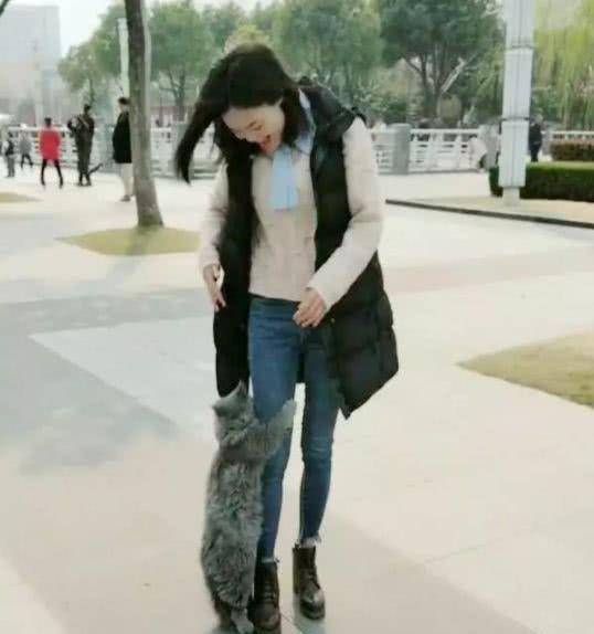 猫咪绝技就是抱大腿，顺着腿钻进主人衣服，猫咪：大佬求带 
