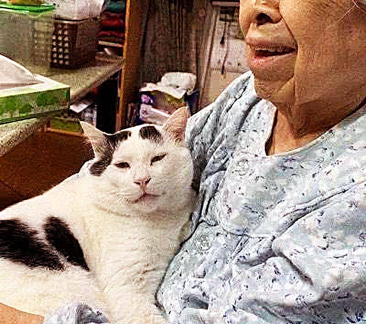 将猫咪让外婆暂时饲养，1个月后，再次看到猫咪时，女子哭了！ 