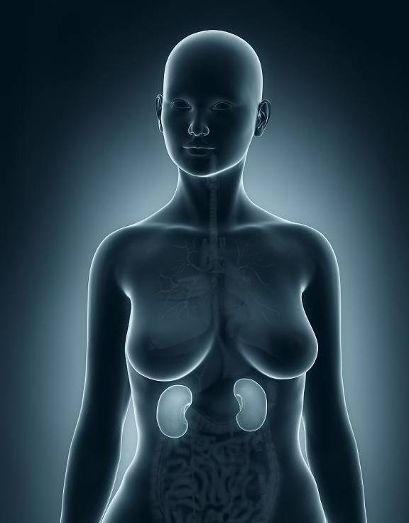 诊断|生活习惯都很规律，为什么会得肾结石。肾结石是身体内有石头吗？