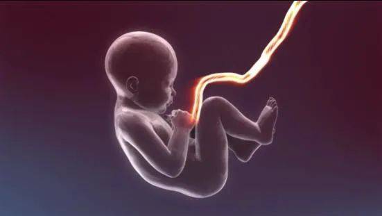 生命|14岁女孩拥有80岁“奶奶脸”，一年老10岁，父母为救女儿生下二胎