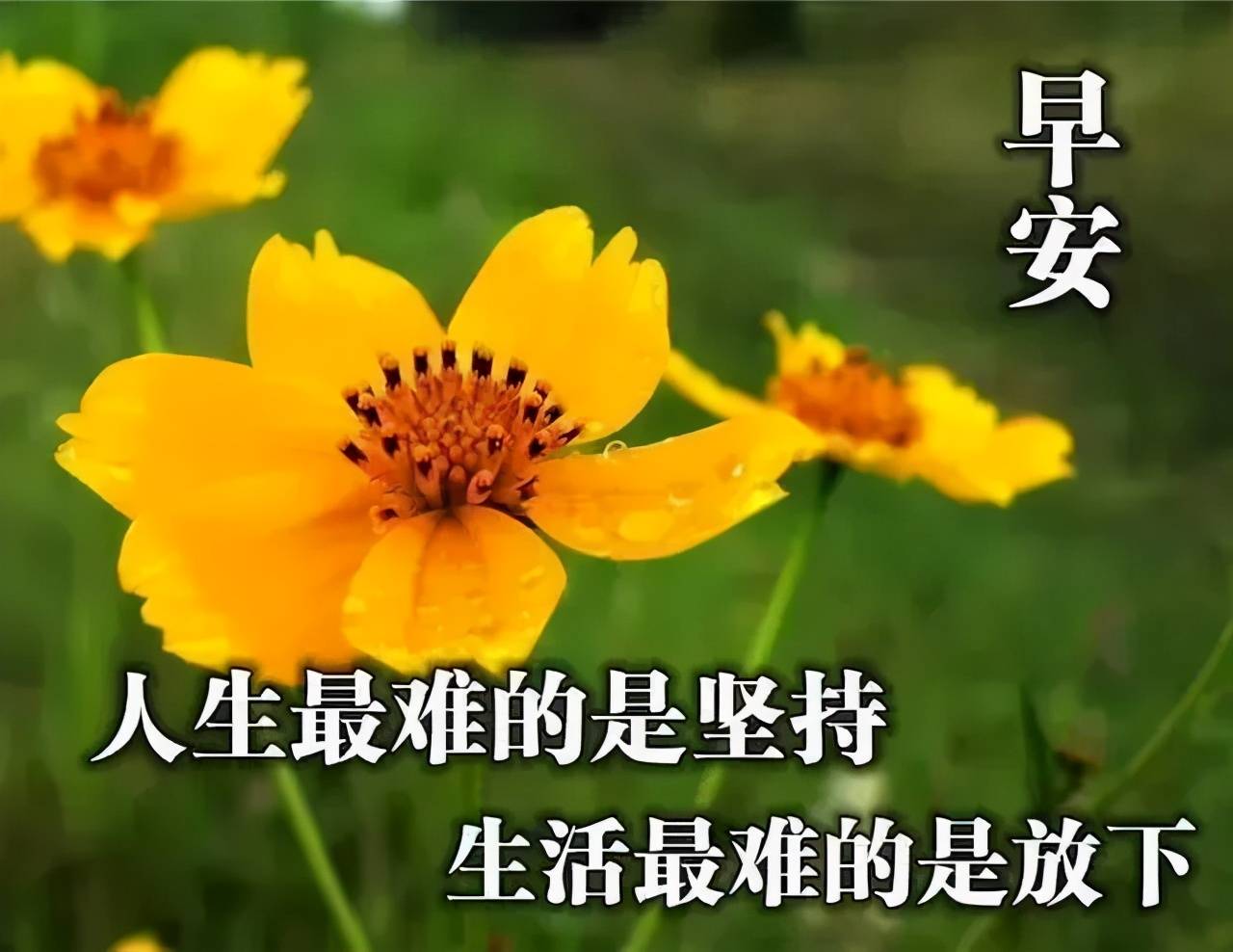 桌面免费动态好看壁纸 e5d2cab575c348aebcb2ad142bf36a02.jpeg