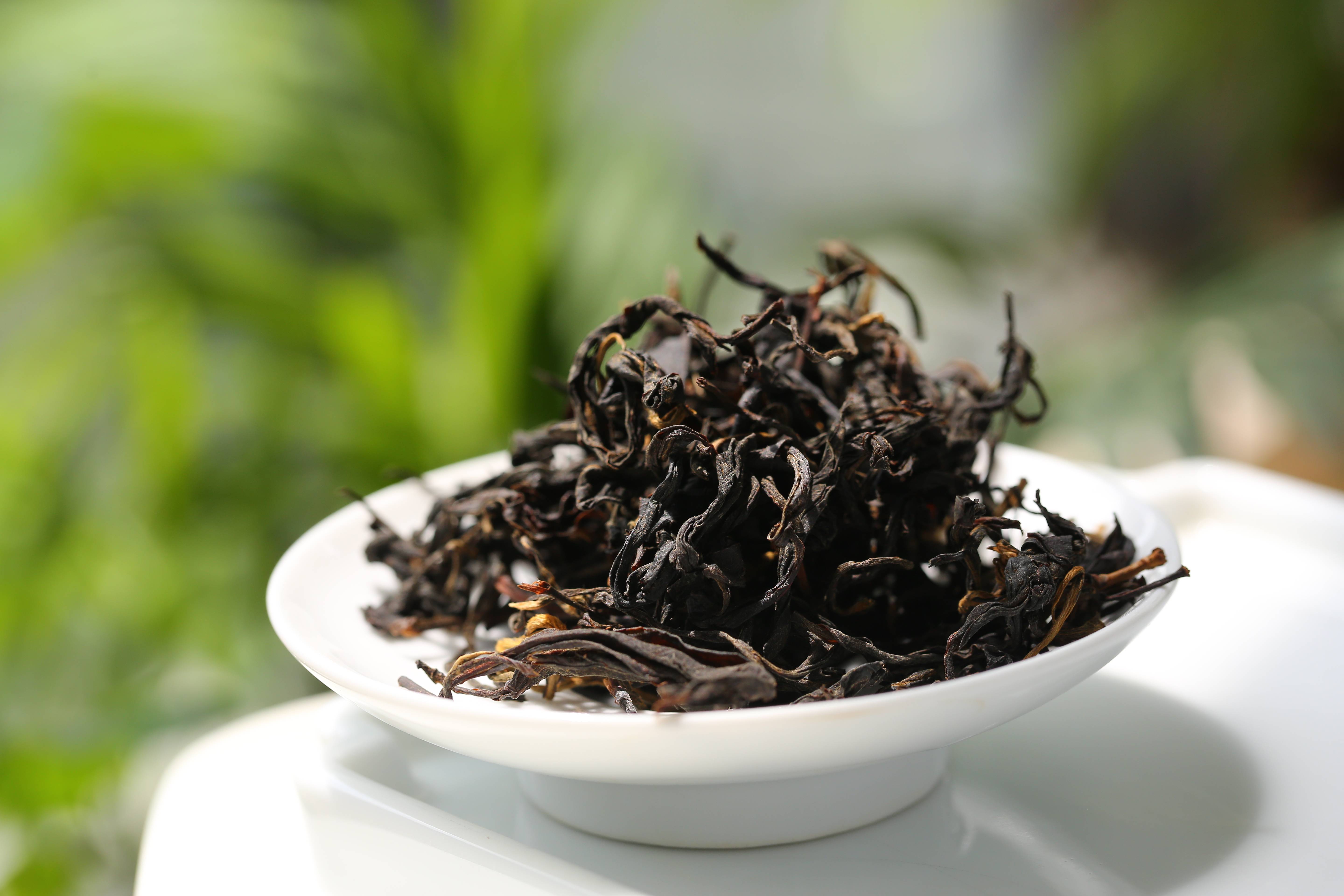 大叶种是适制云南普洱茶的最佳原料吗?