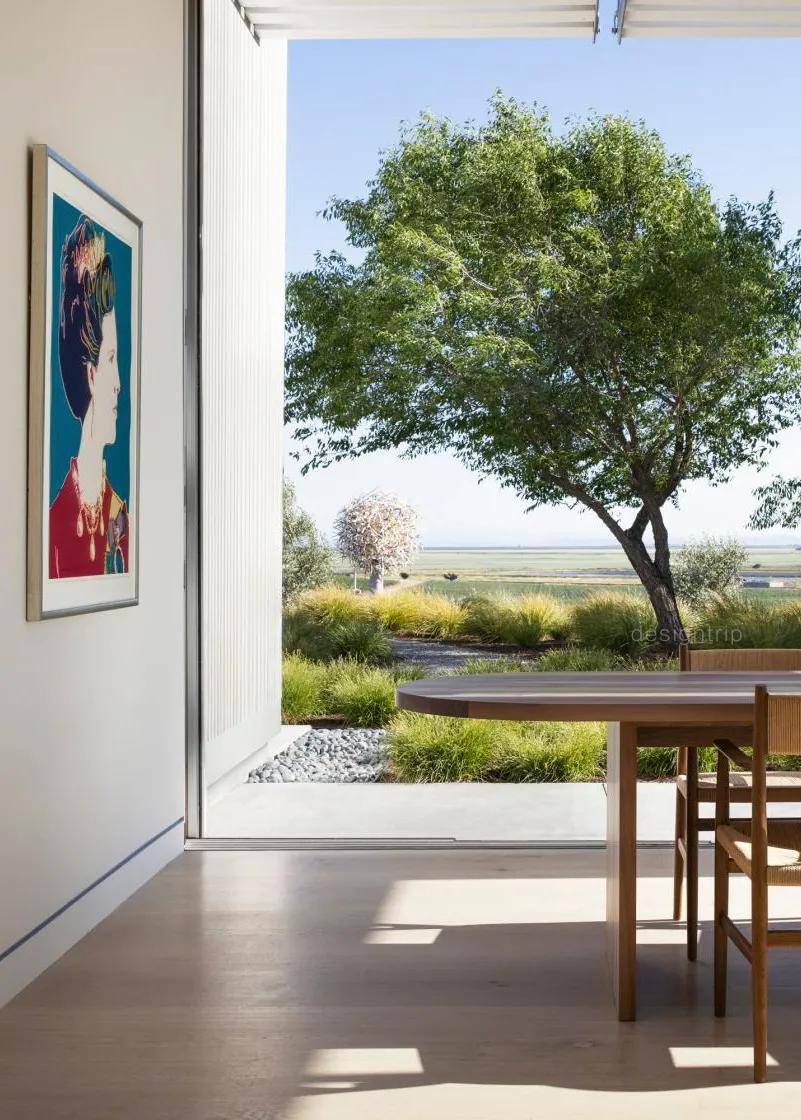 葡萄|David Thulstrup新作 | 加州葡萄酒庄里的接待中心