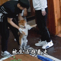 速食|厨艺如何从青铜提升到白金段位？我的“舌尖上的留学生活”分享