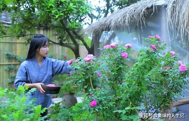 李子柒用院里的鲜花炒鸡蛋 好看又好吃 这样的生活真让人羡慕 美食