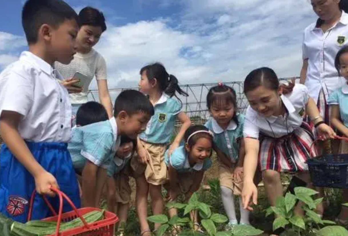 隐患|幼儿园超前教育隐患大，集中爆发在二年级，家长：孩子前途是问题