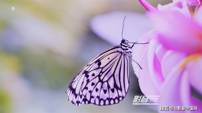 方面|BenQ i985L：迈进另一个阶段的三色激光强作
