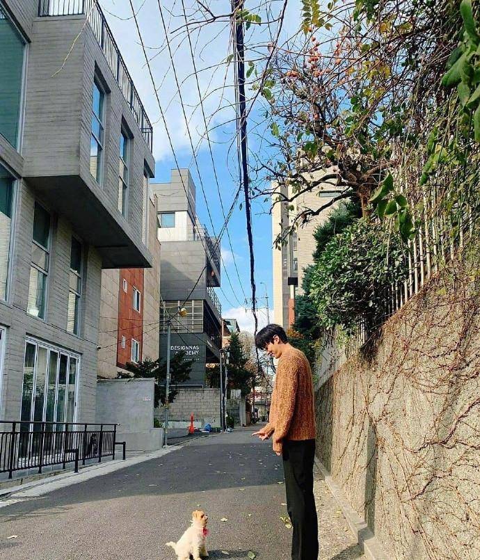 季节|李敏镐低调回国太节俭,5尺6穿“烂大街”毛衣,梳中分短发好文艺