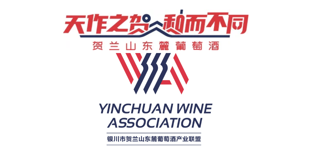 风土|20城,36场! 贺兰山东麓葡萄酒银川产区课程持续发力