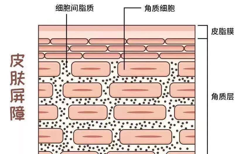 方法|过度清洁毁了多少好皮肤，清洁不是越干净越好，不洗脸都比过度好