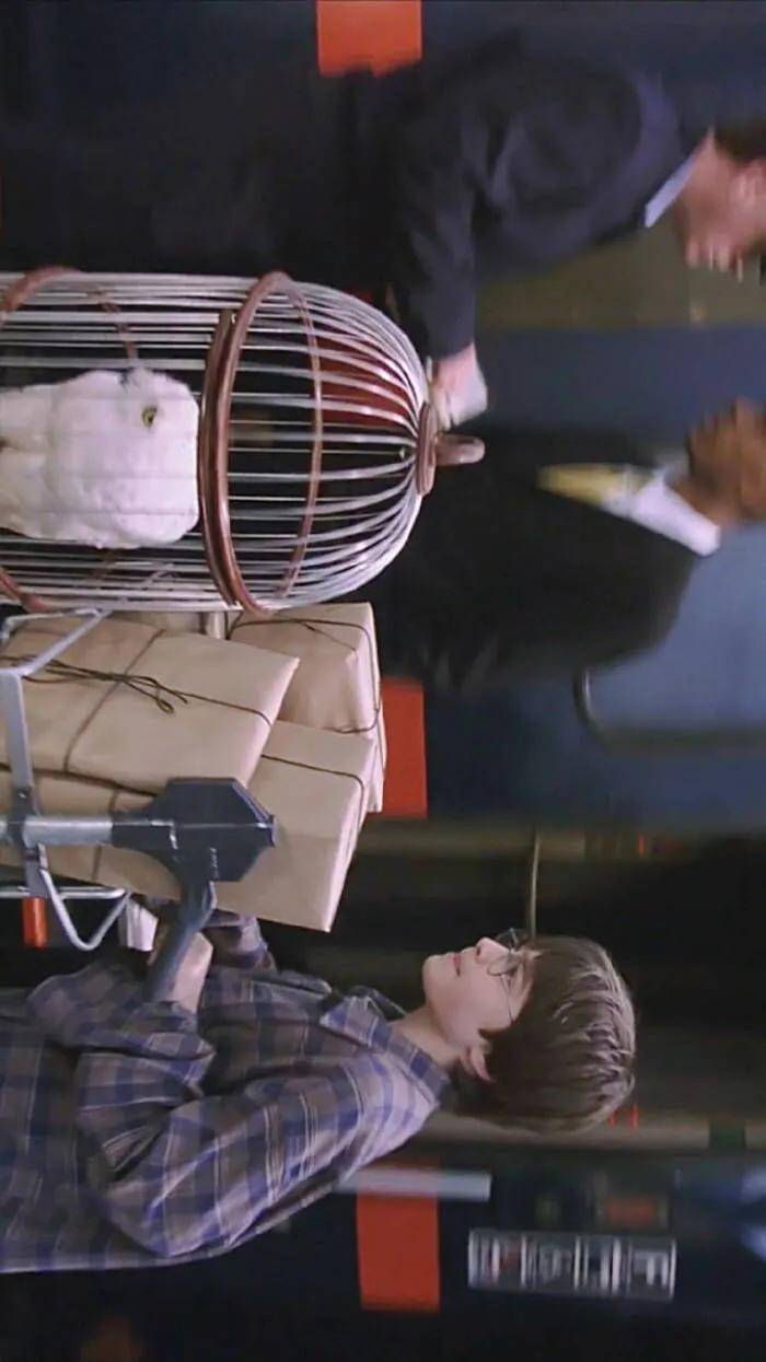 特辑|哈利波特壁纸特辑