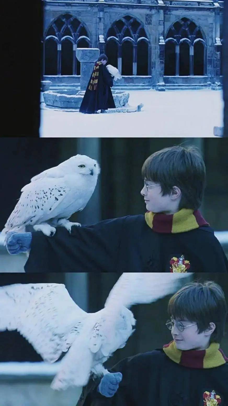 特辑|哈利波特壁纸特辑